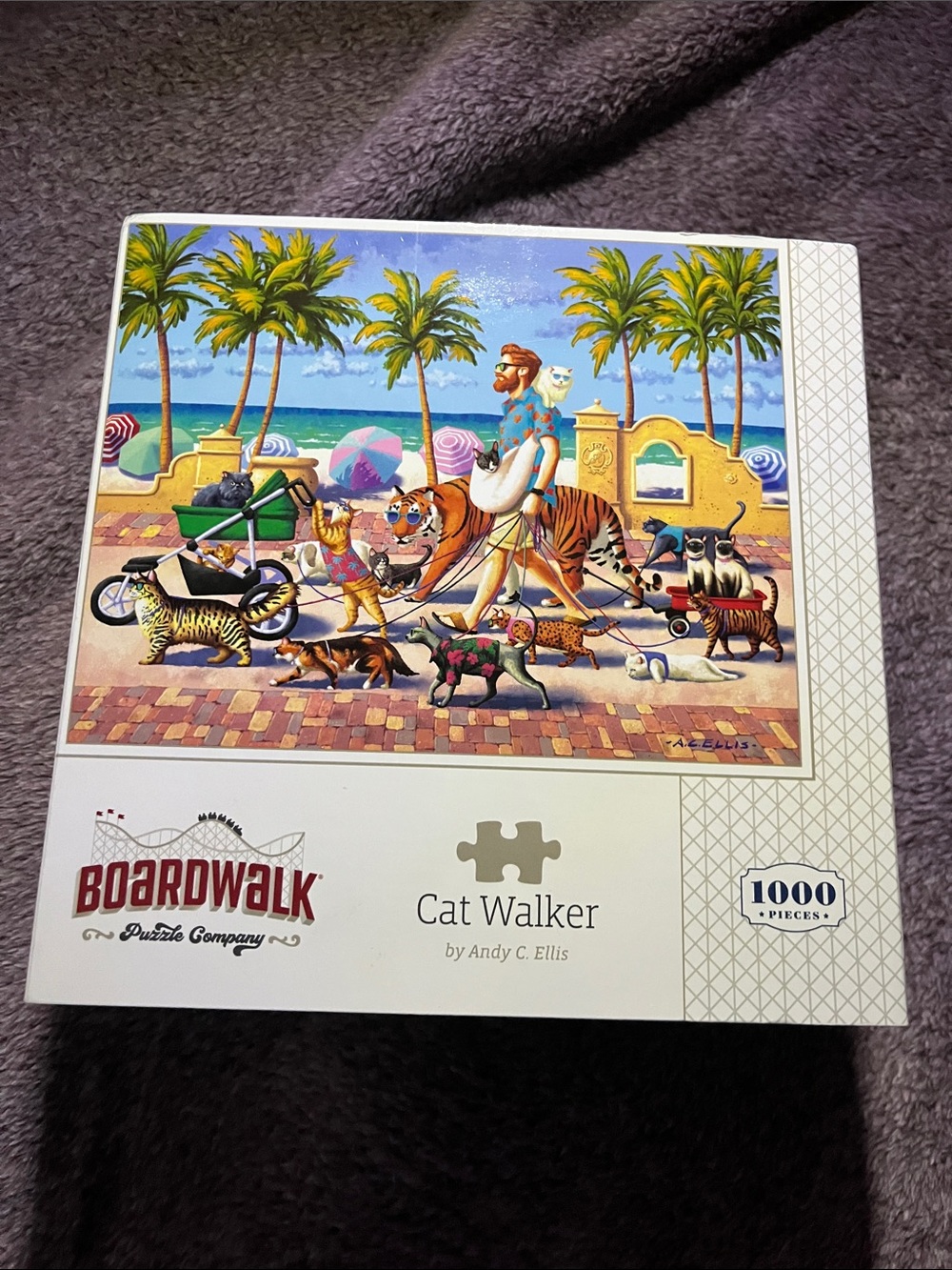 Boardwalk Cat Walker Puzzle - Andy Ellis Colorful Beach Scene